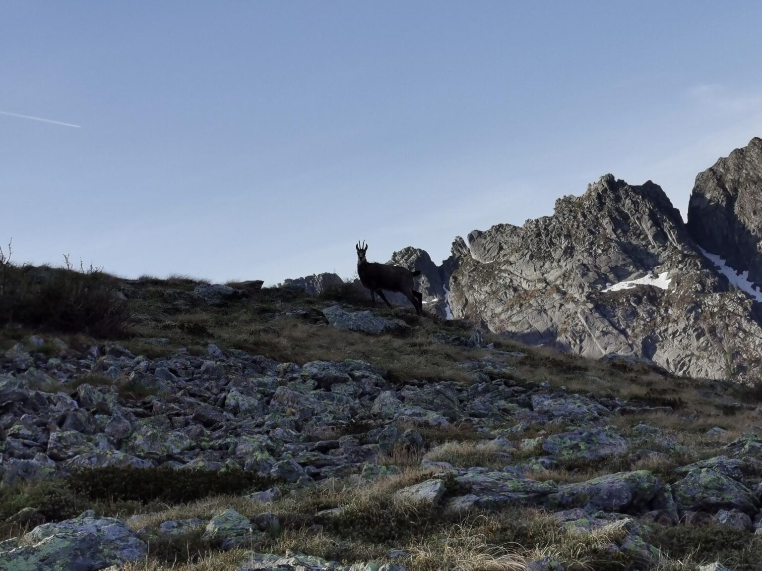 escursione monte cenon croz primalunetta lagorai
