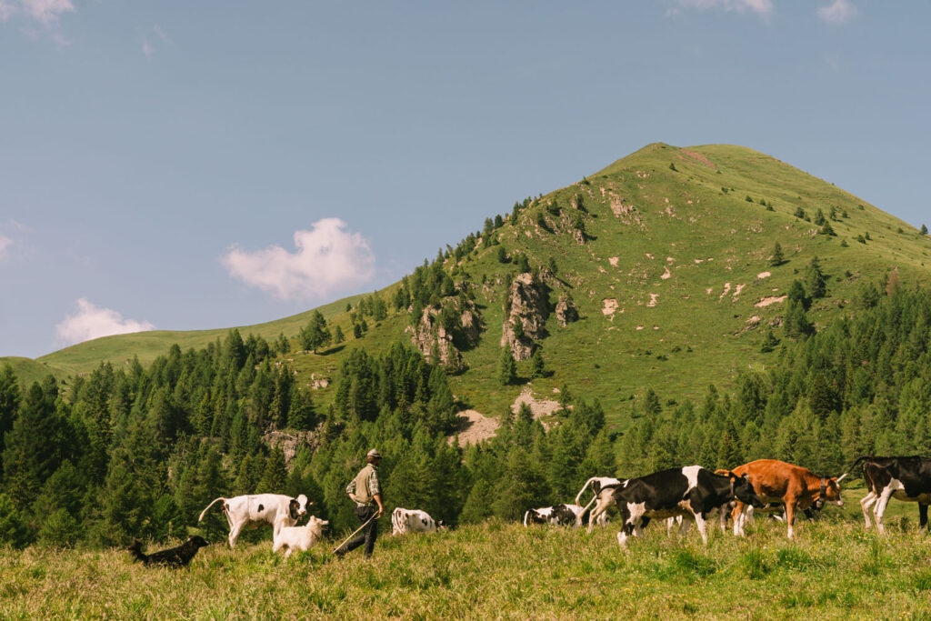 rifugio conseria val campelle